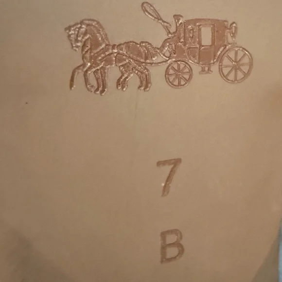 Coach Seline Snakeskin Print Leather Ankle Strap Pumps Size 7B - Picture 8 of 9